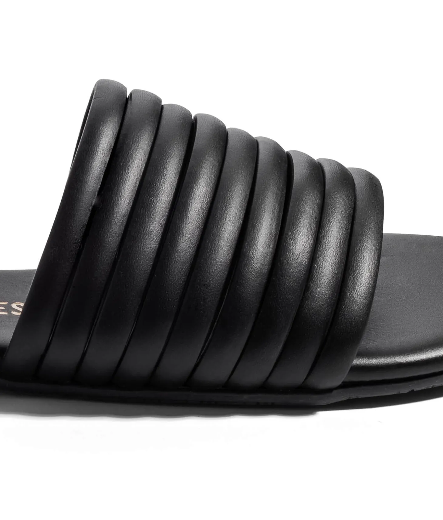 Caro - TKEES