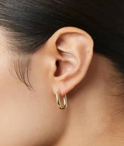 Rox Small Gold Hoop Earrings - Ana Luisa